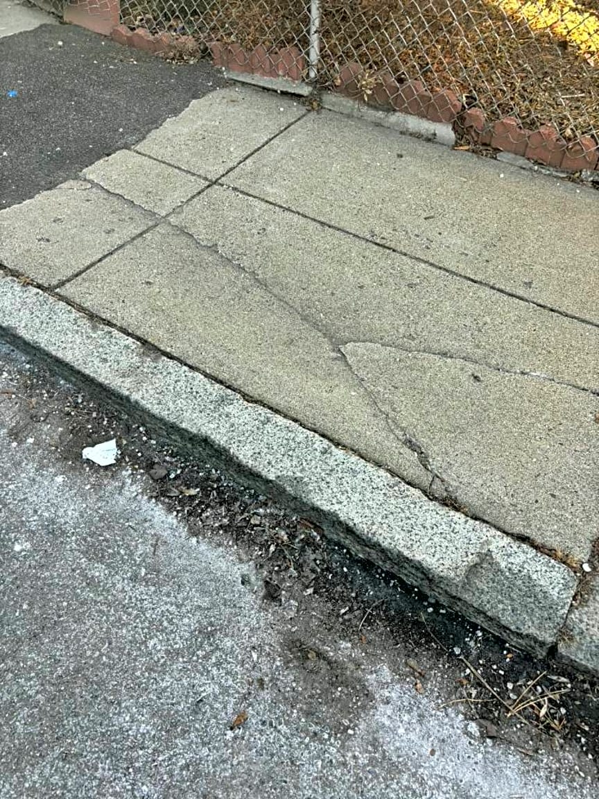 Image submitted with report