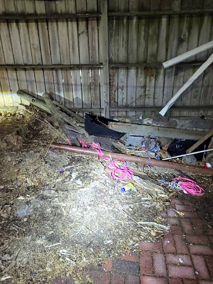 Image submitted with report