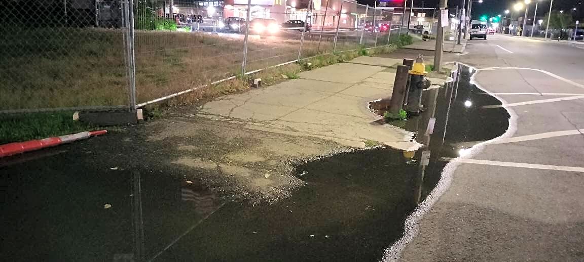 Image submitted with report