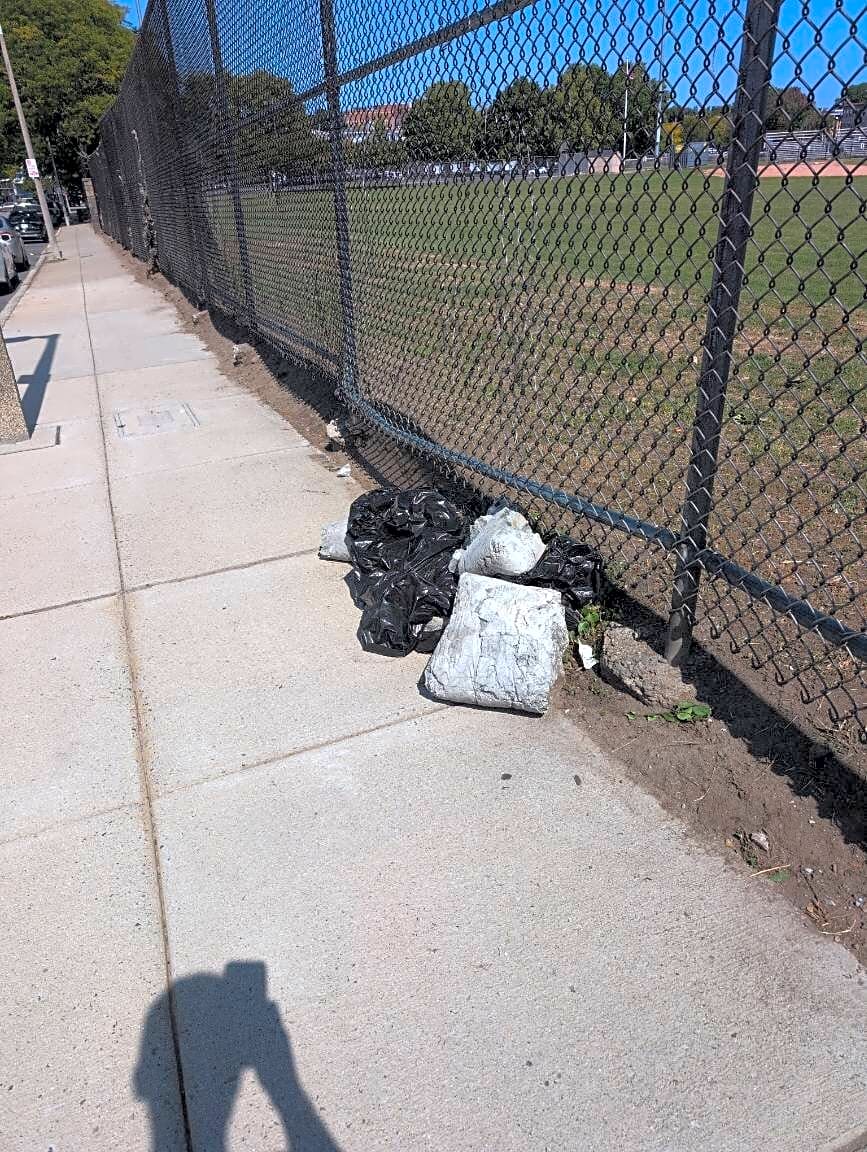 Image submitted with report