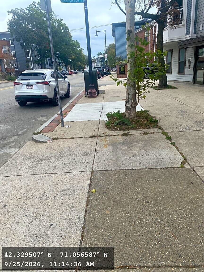 Image submitted with report
