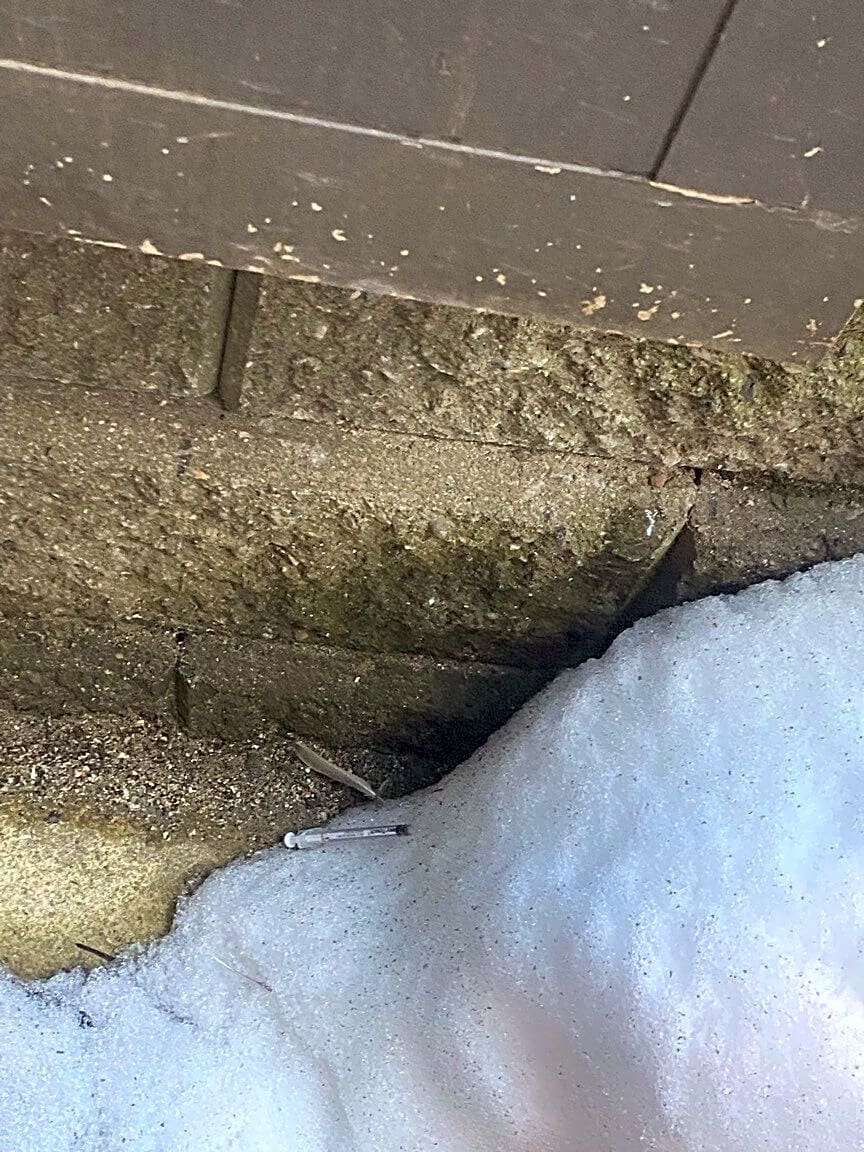 Image submitted with report