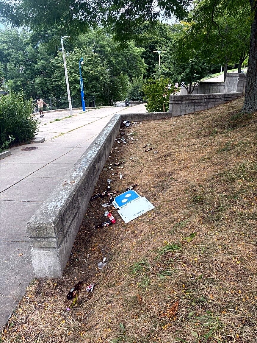Image submitted with report