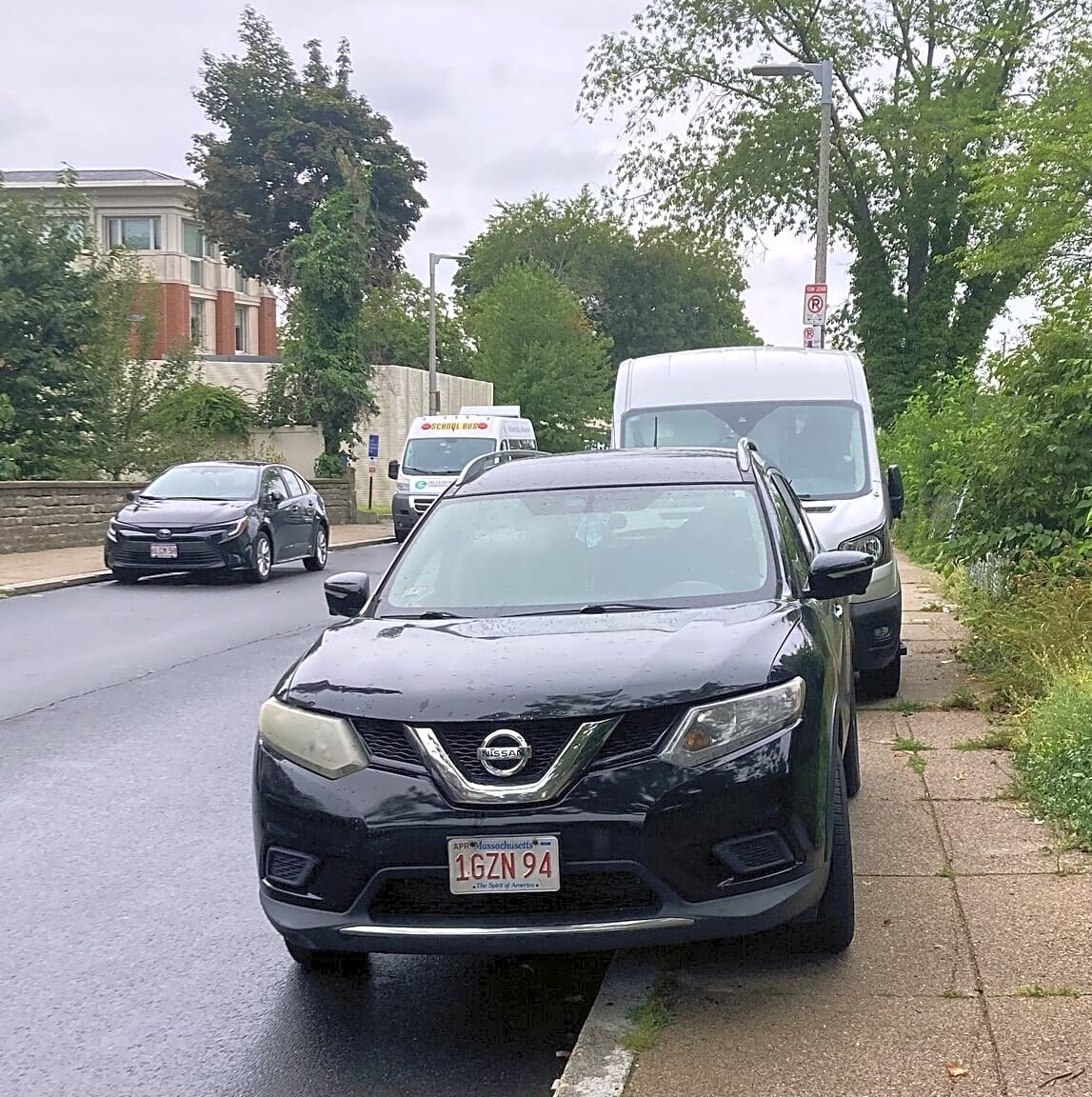 Image submitted with report