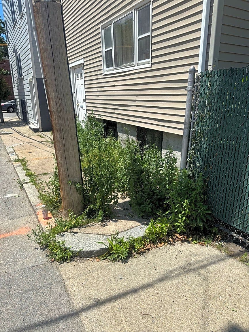 Image submitted with report