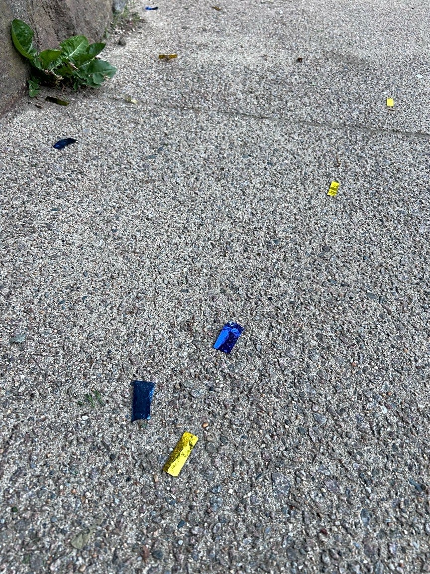 Image submitted with report