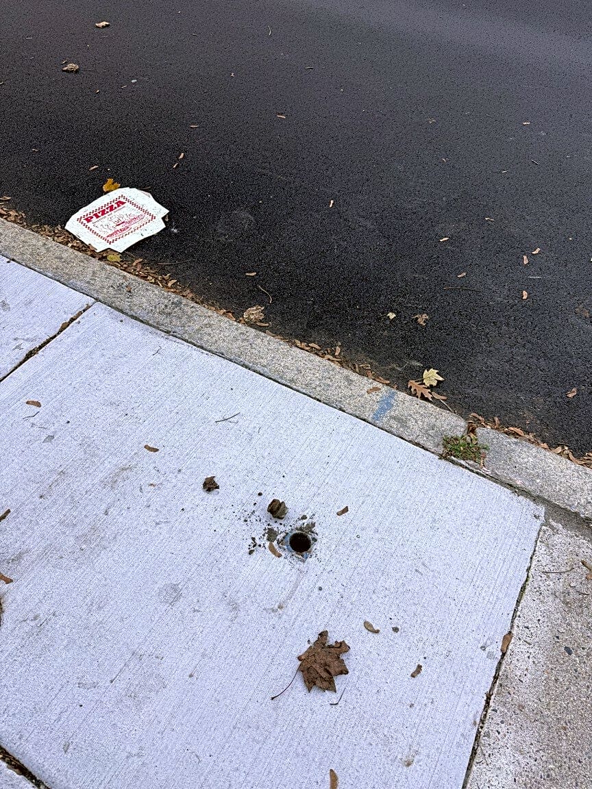 Image submitted with report