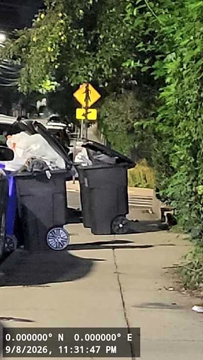 Image submitted with report