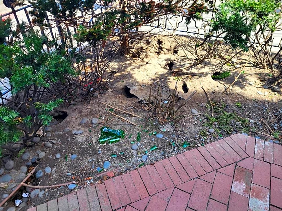 Image submitted with report