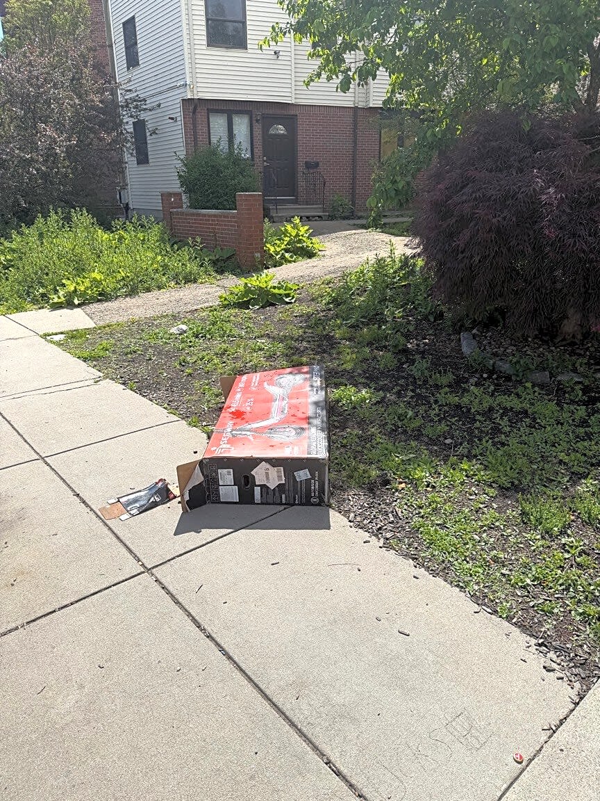 Image submitted with report