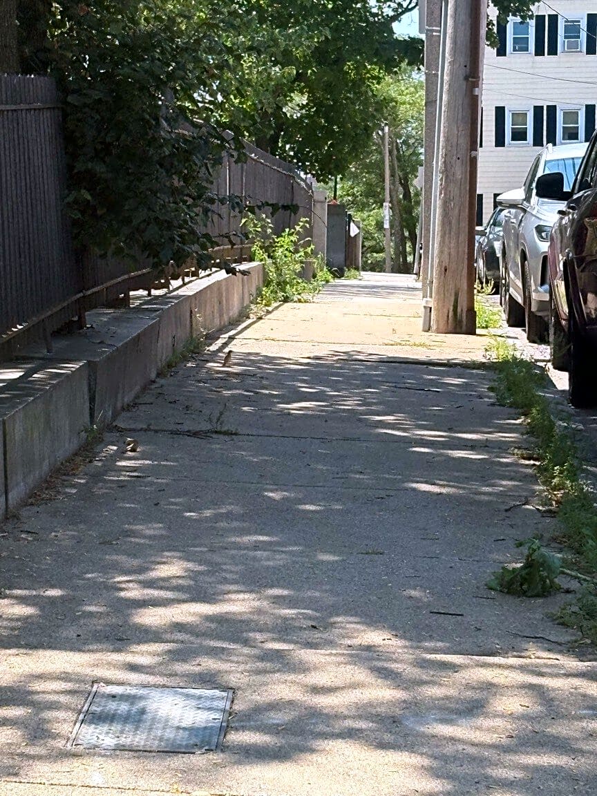 Image submitted with report