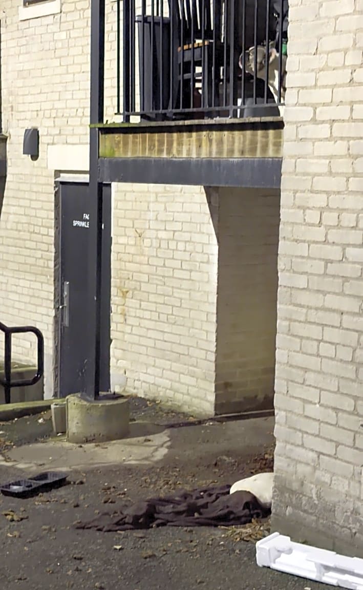 Image submitted with report