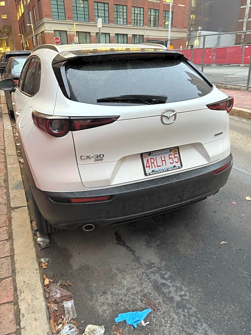 Image submitted with report