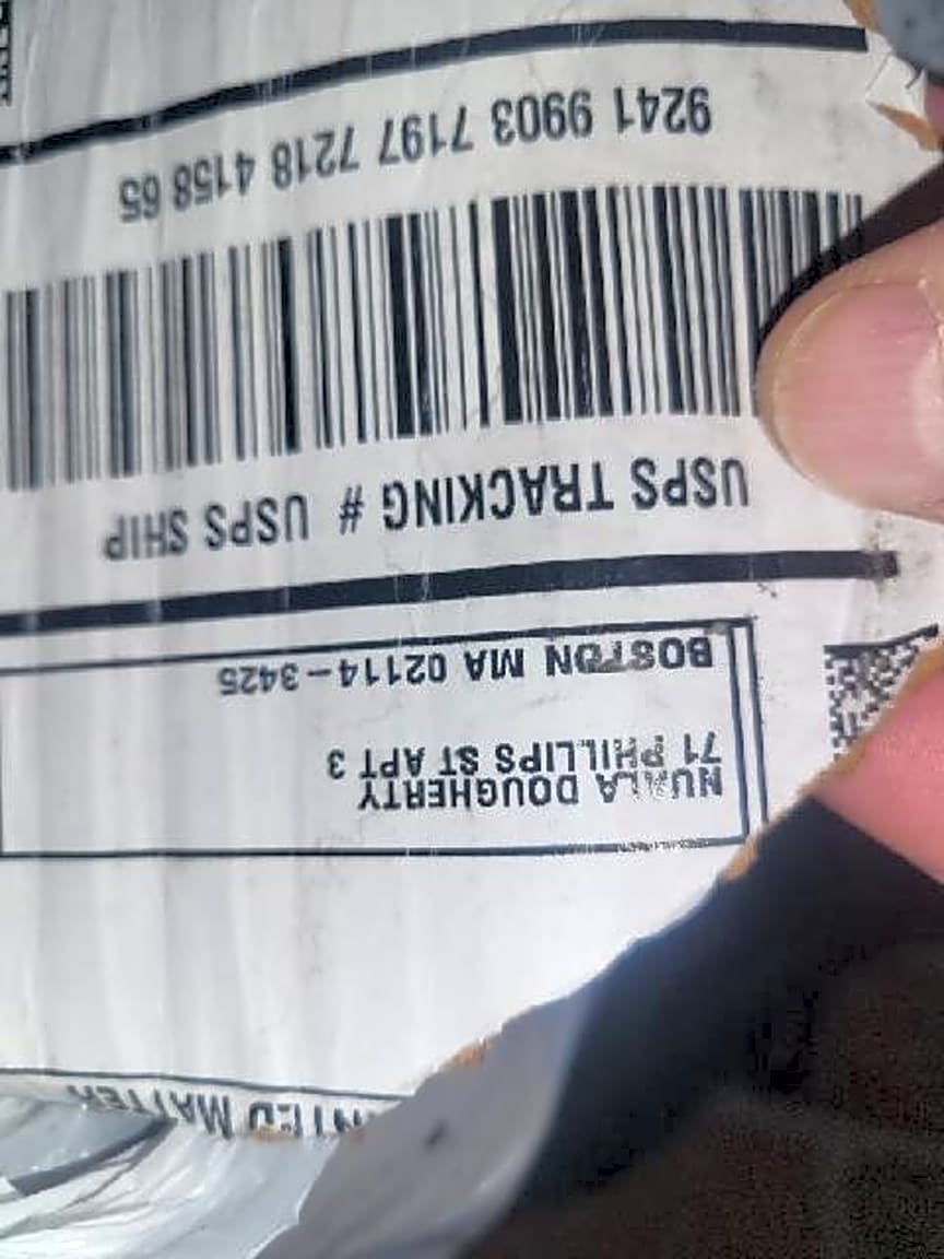 Image submitted with report