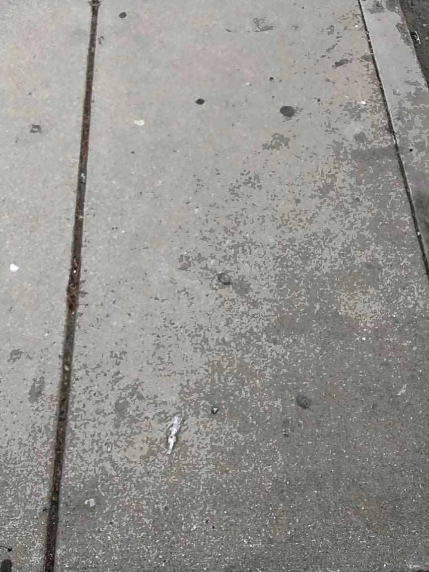 Image submitted with report