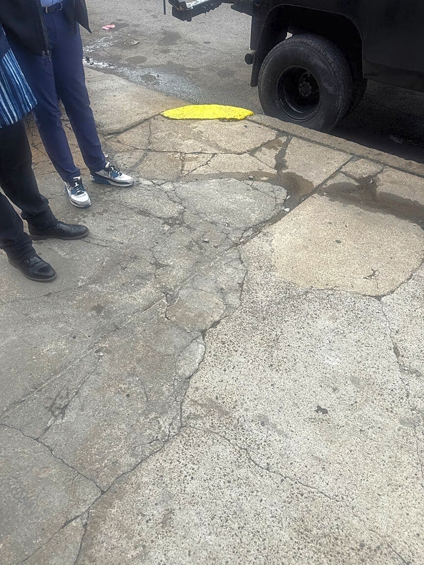 Image submitted with report