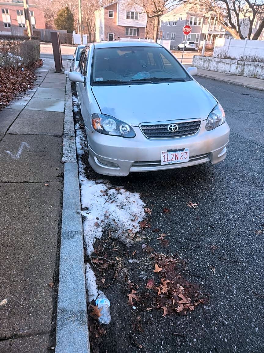 Image submitted with report