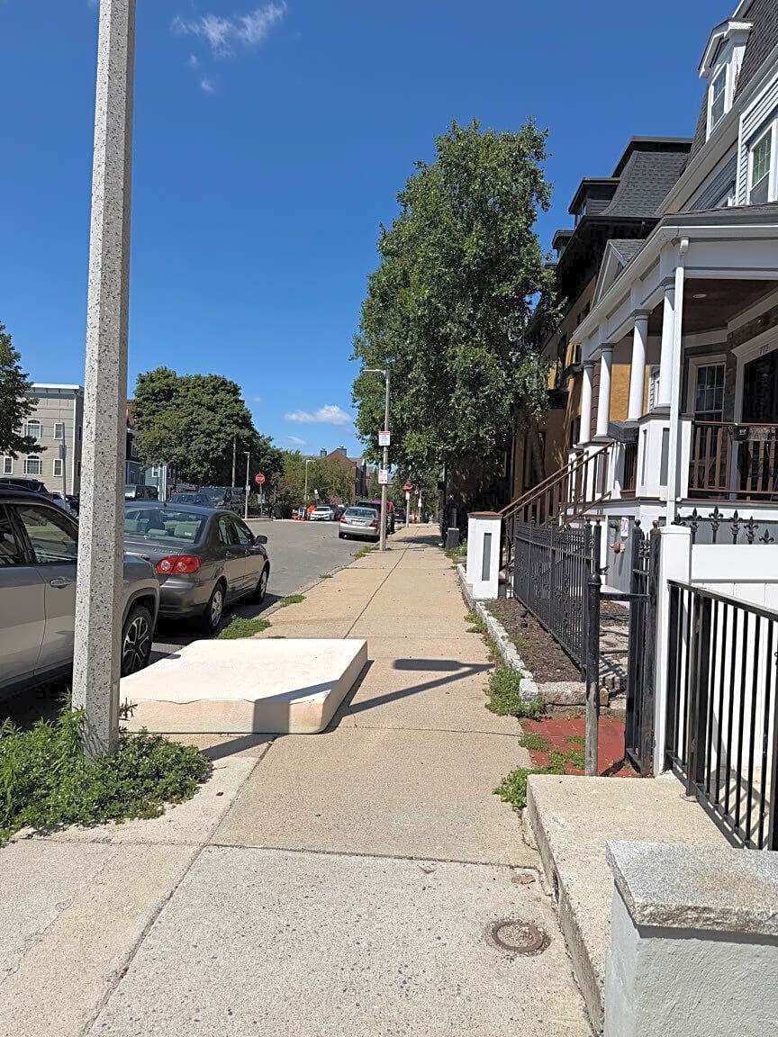 Image submitted with report