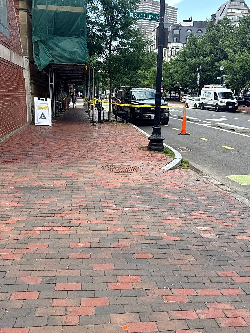Image submitted with report