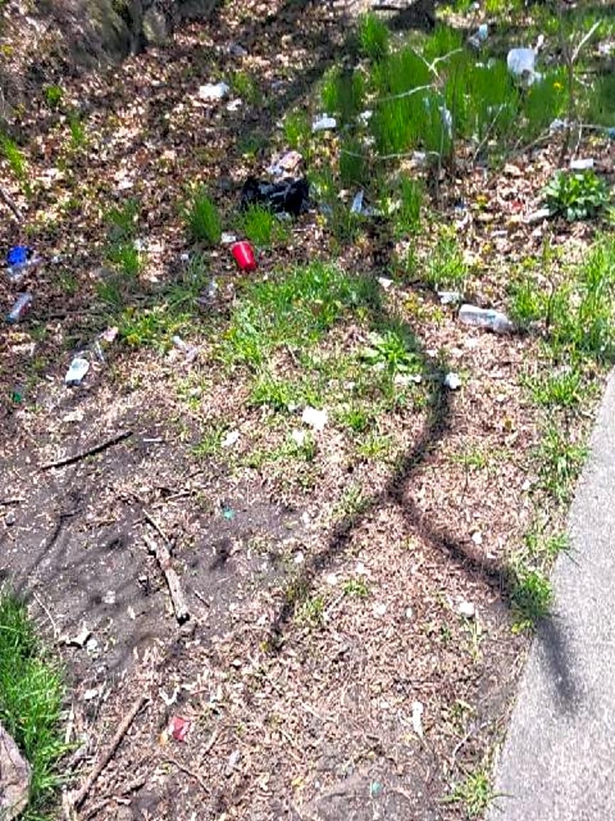 Image submitted with report