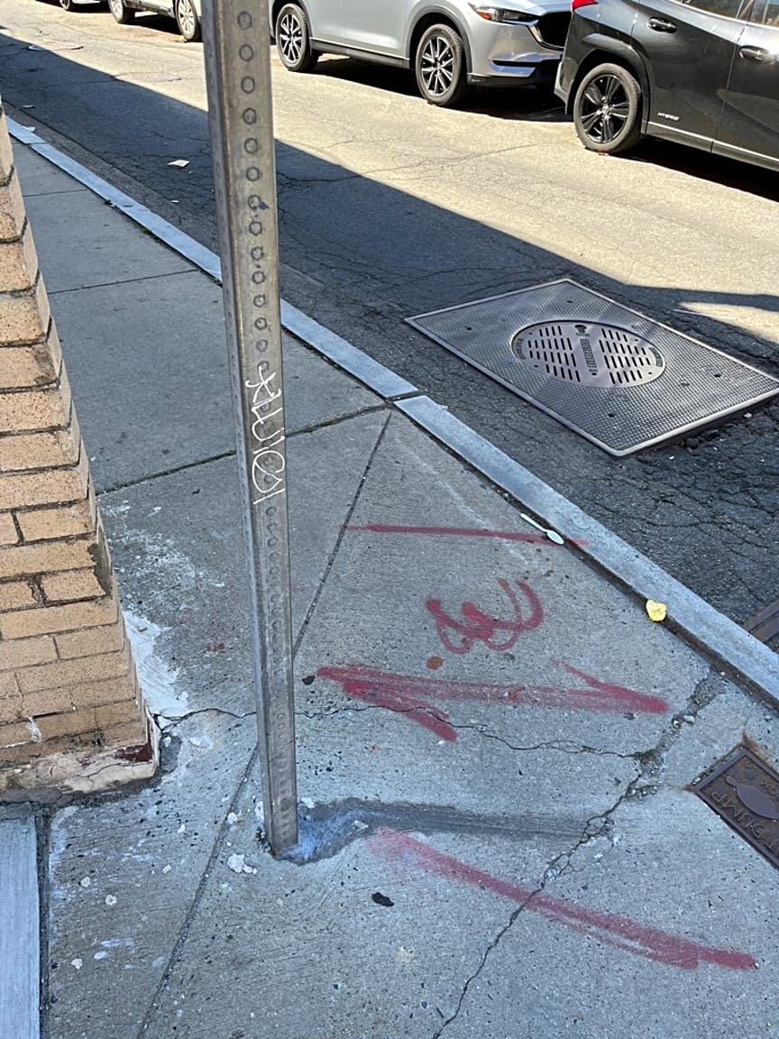 Image submitted with report