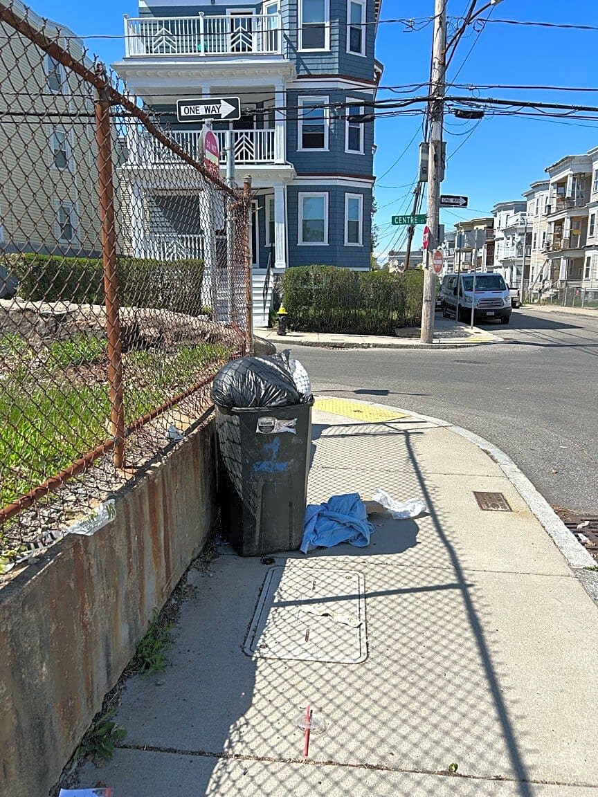 Image submitted with report