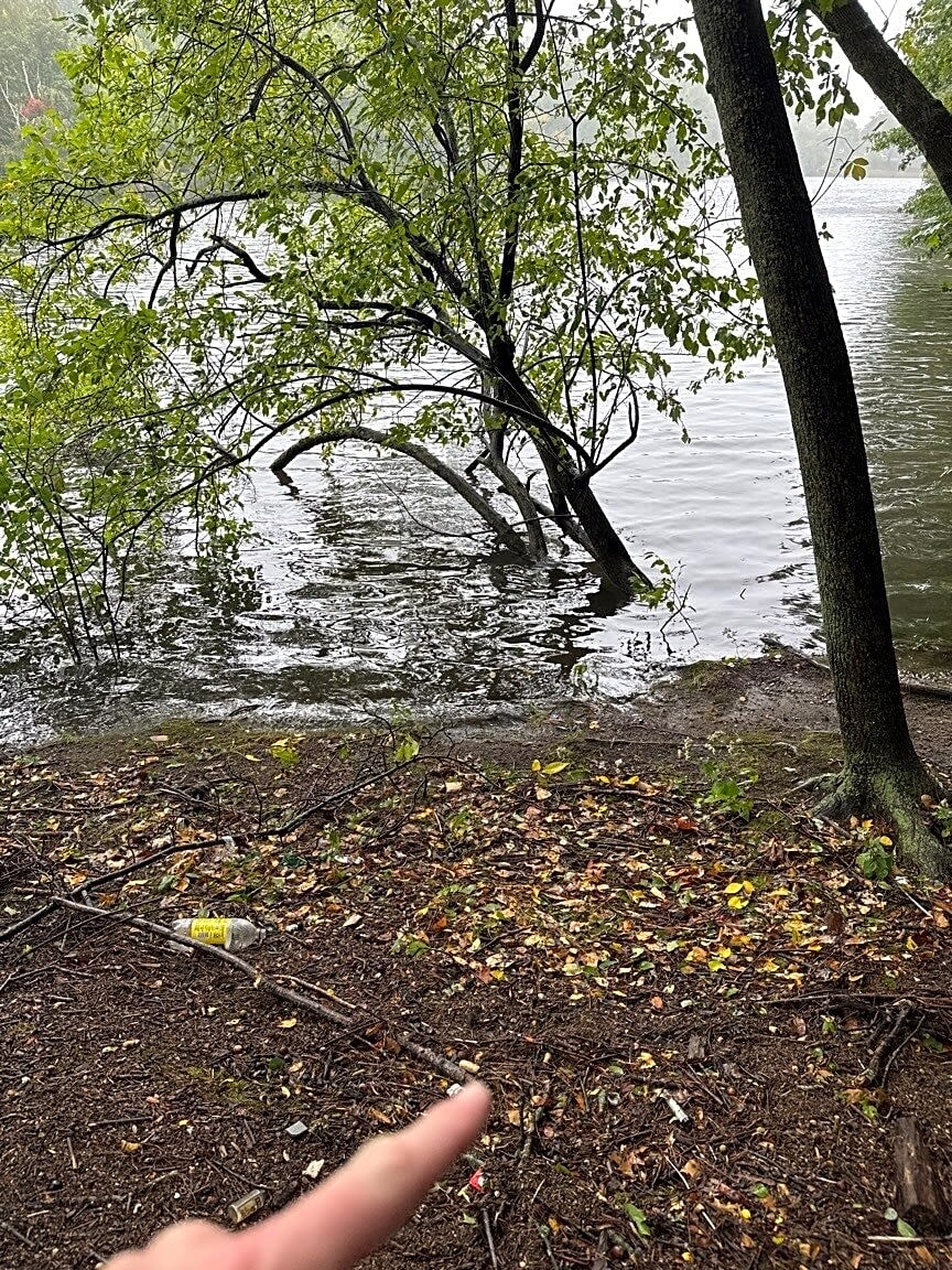 Image submitted with report