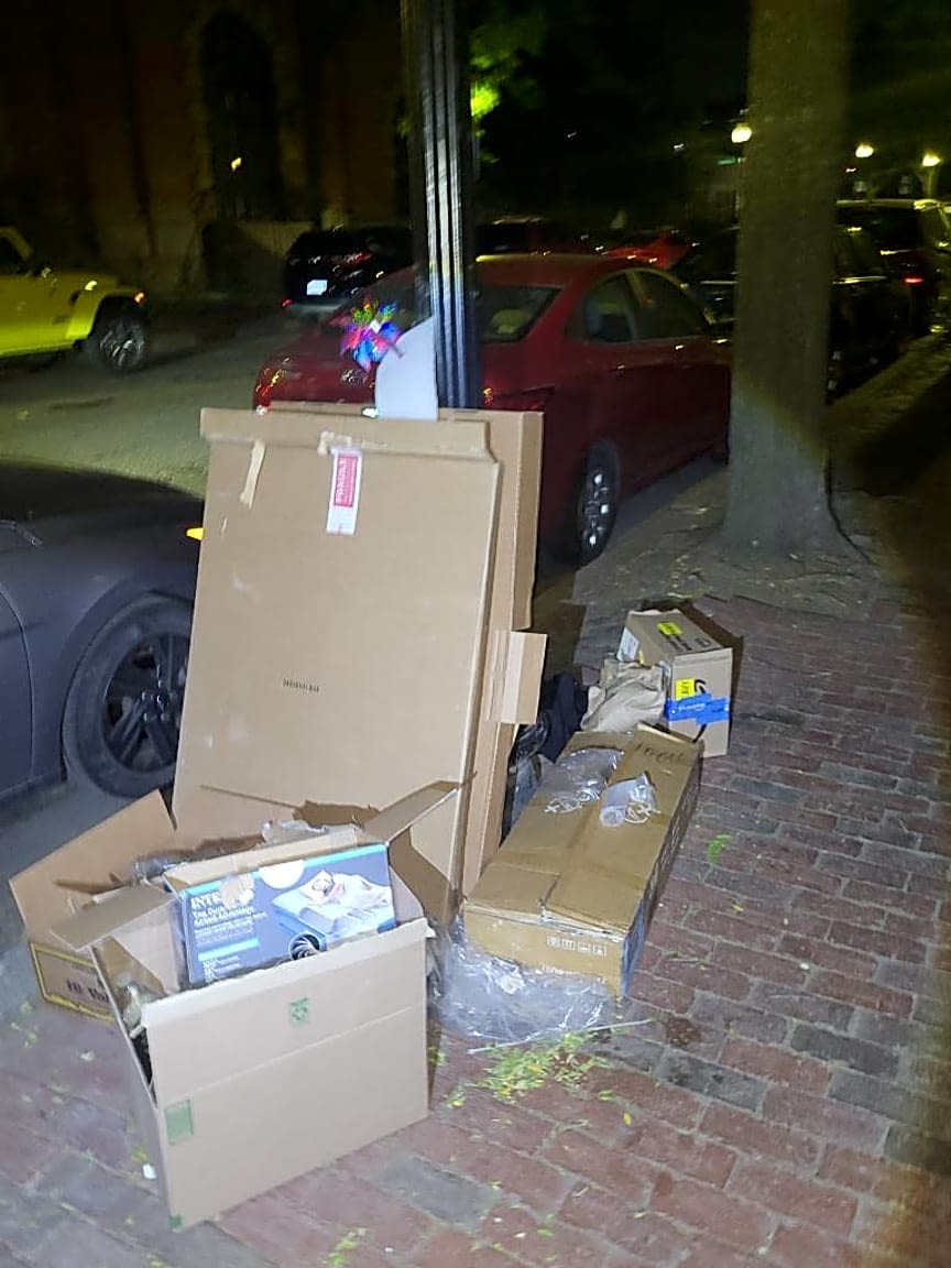 Image submitted with report
