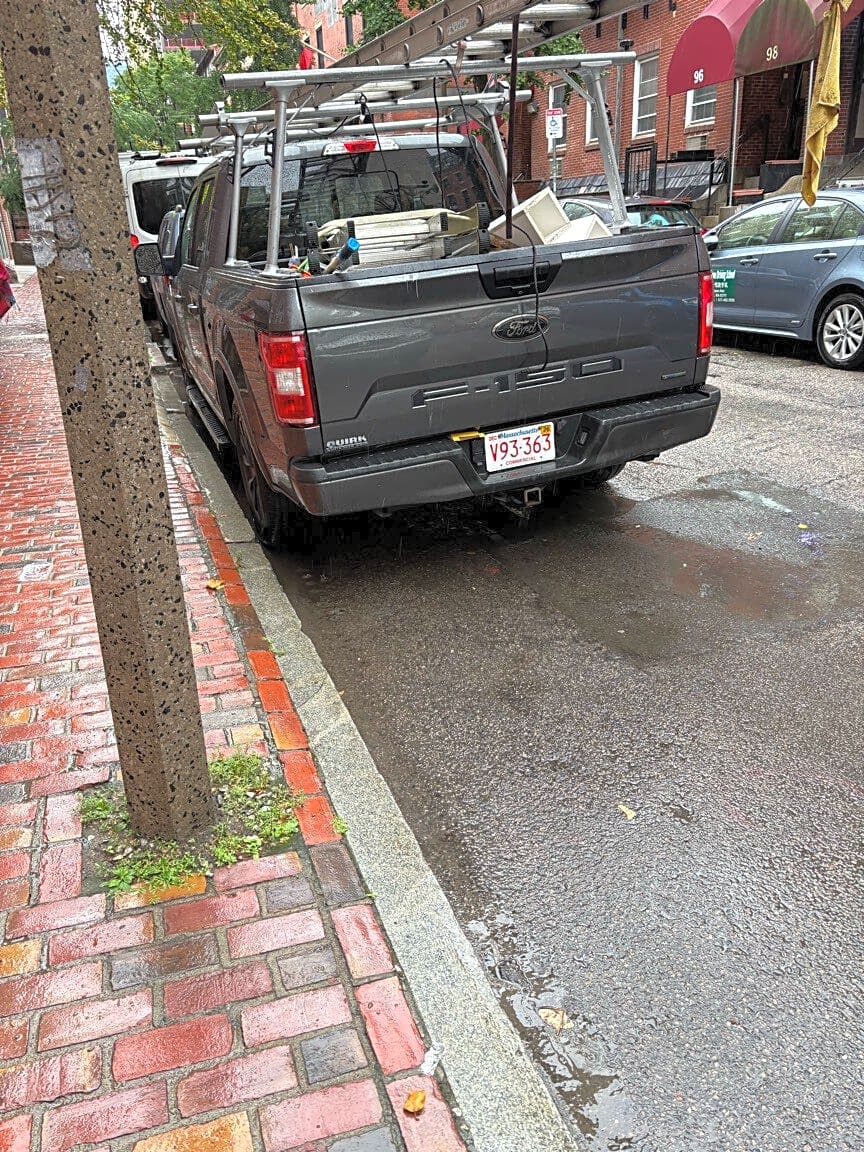 Image submitted with report