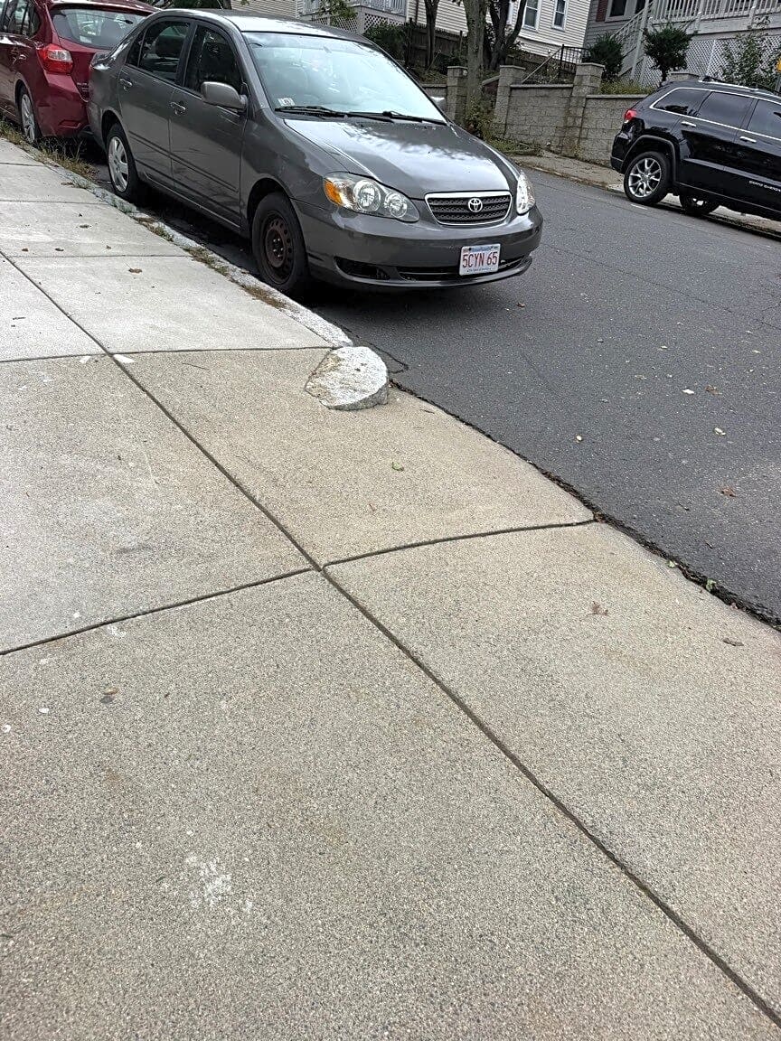 Image submitted with report