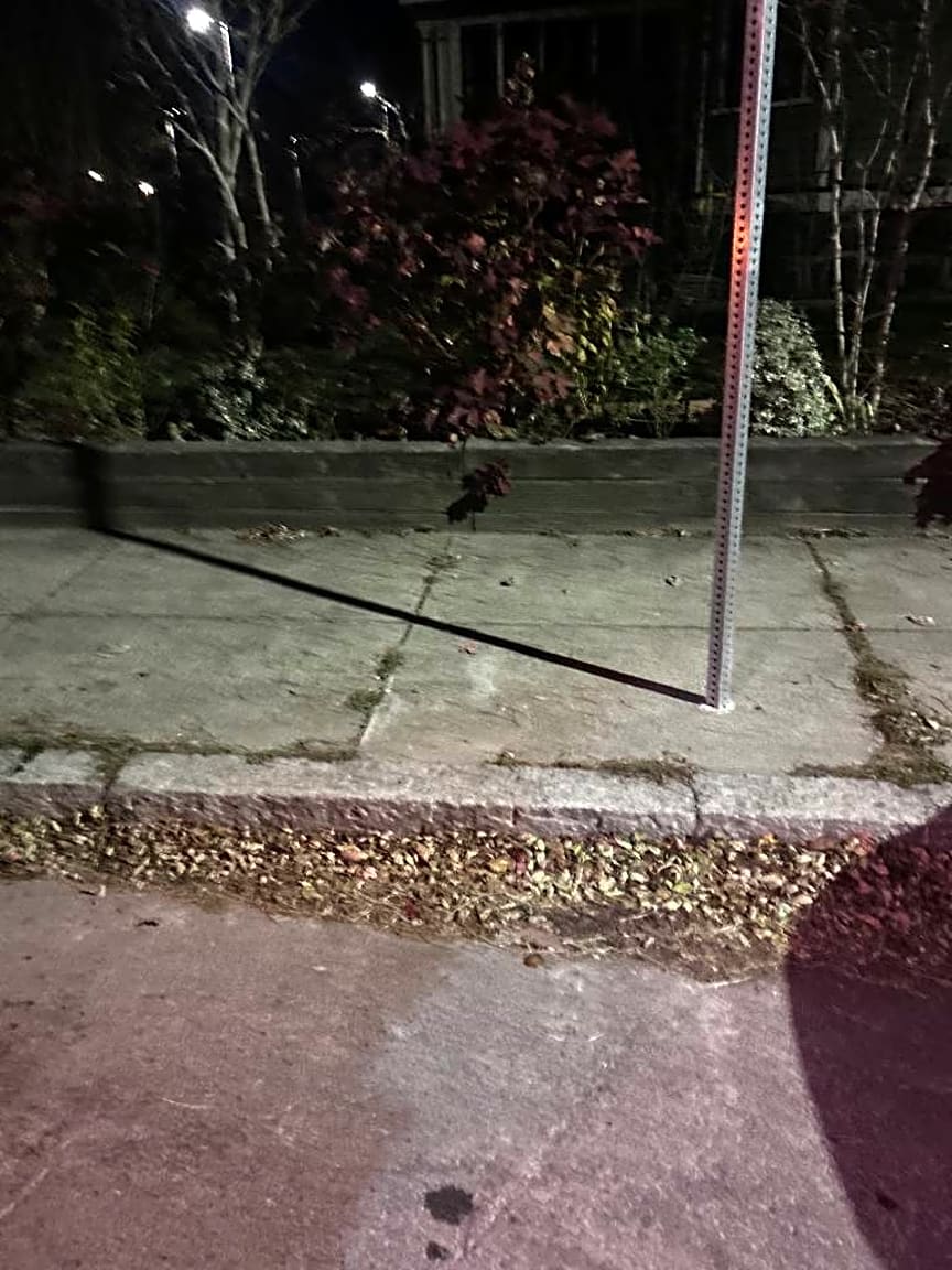 Image submitted with report