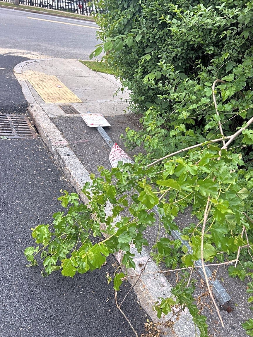 Image submitted with report