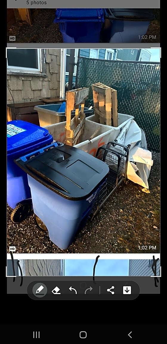 Image submitted with report