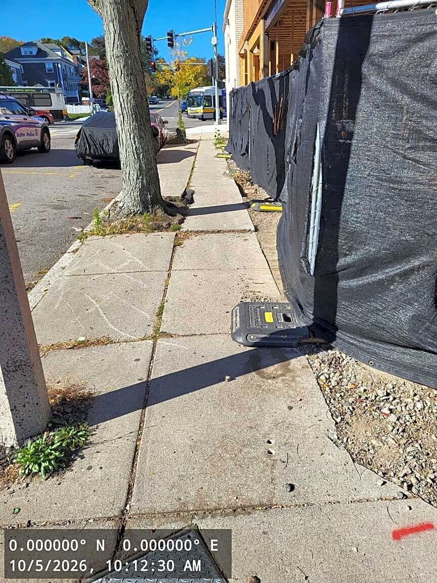 Image submitted with report