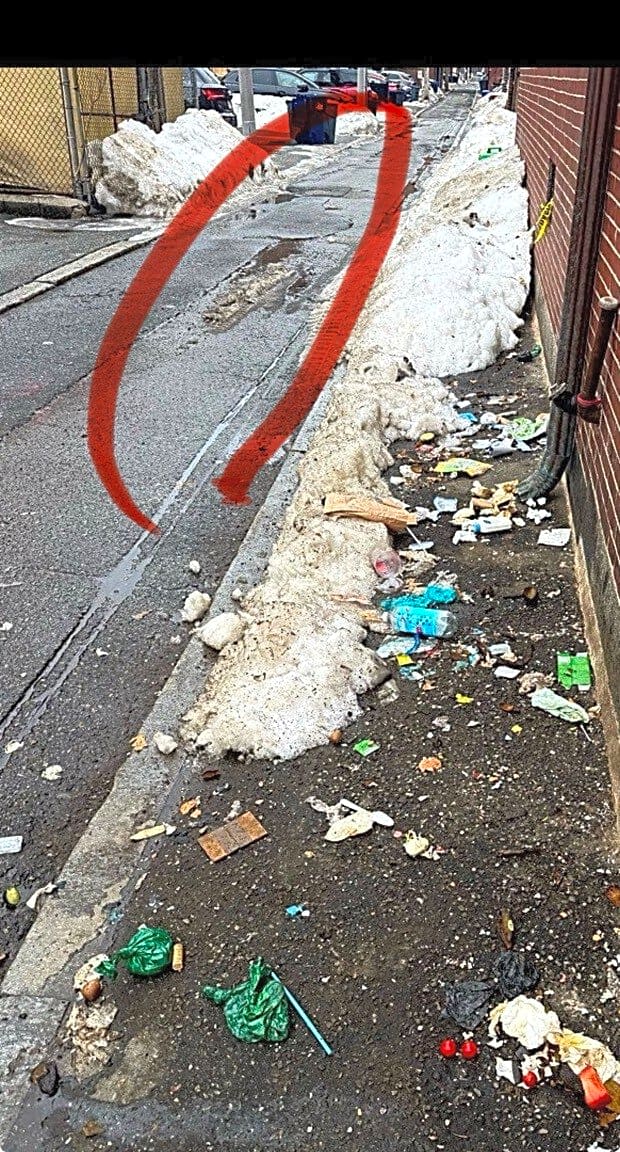 Image submitted with report