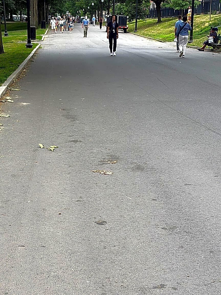 Image submitted with report