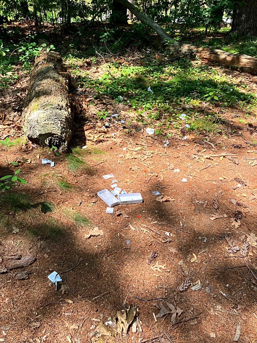 Image submitted with report