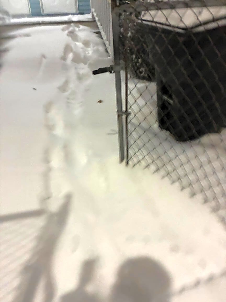 Image submitted with report