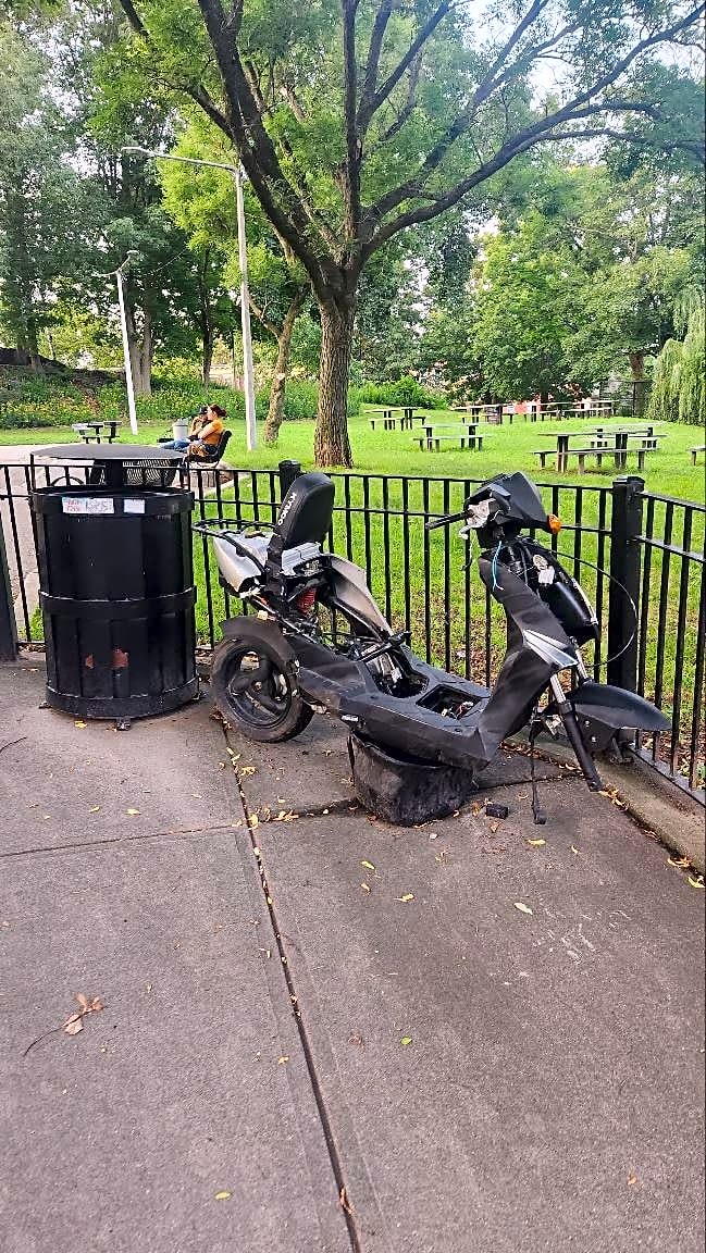 Image submitted with report