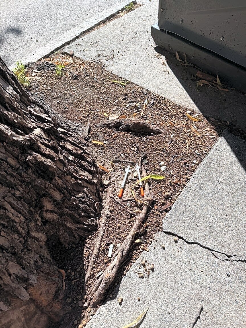 Image submitted with report