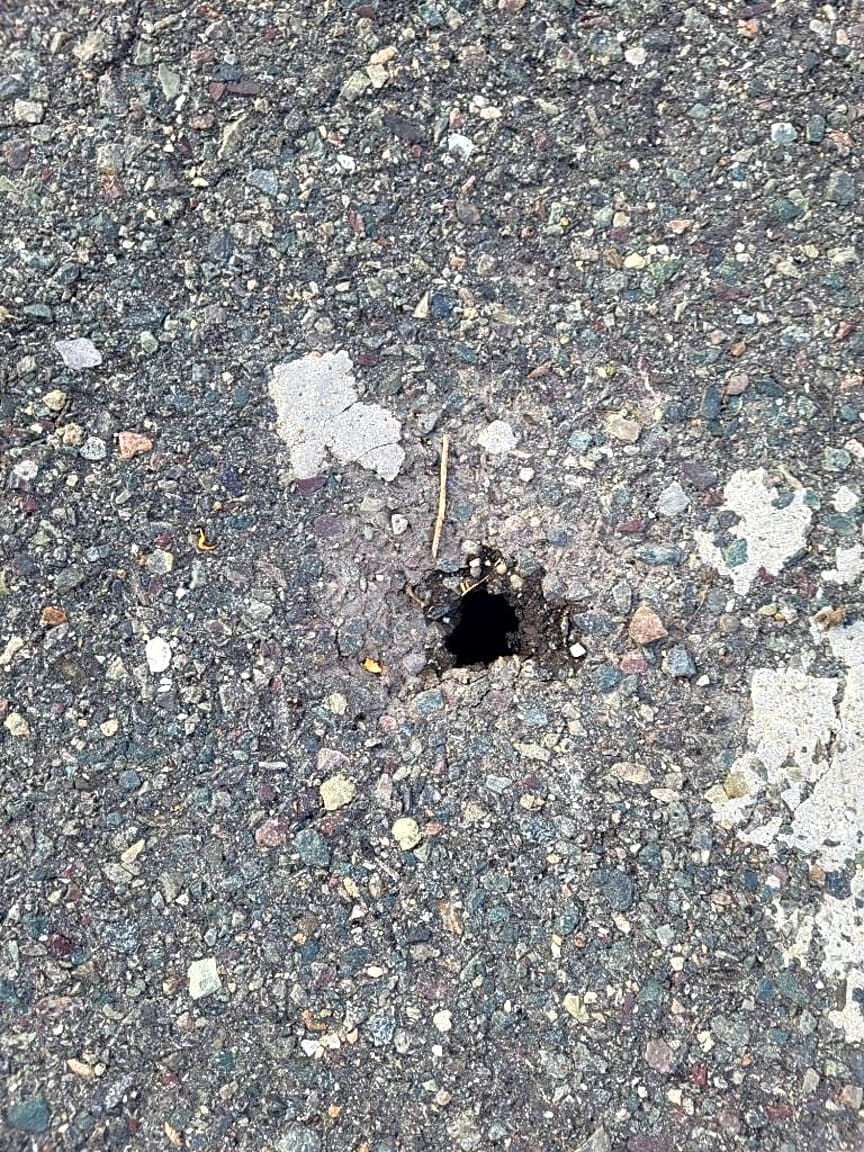 Image submitted with report