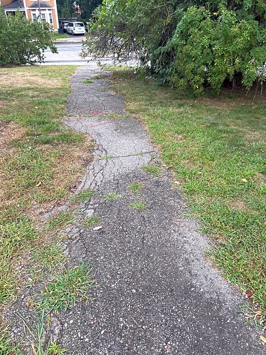 Image submitted with report