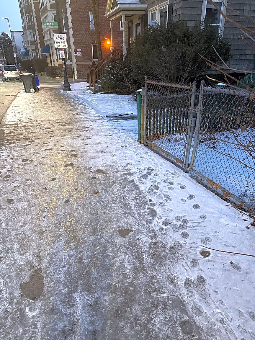 Image submitted with report