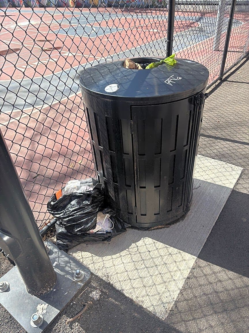 Image submitted with report