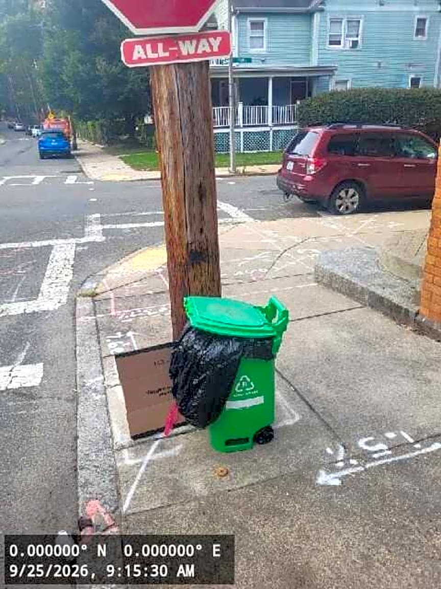 Image submitted with report