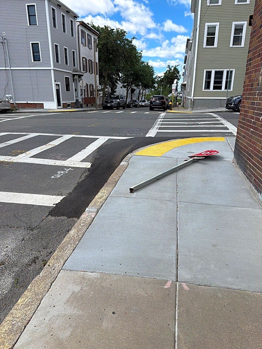 Image submitted with report