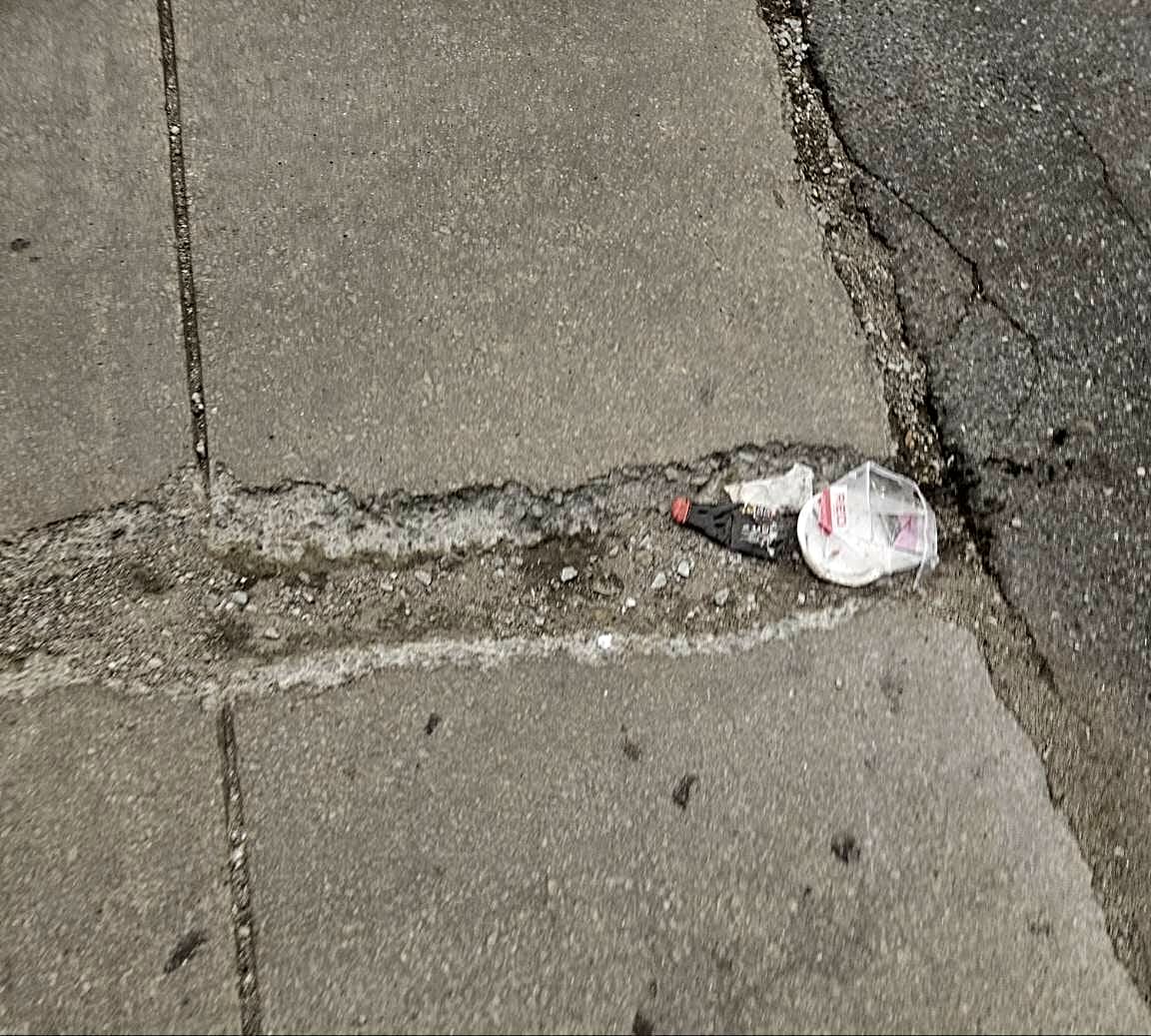 Image submitted with report