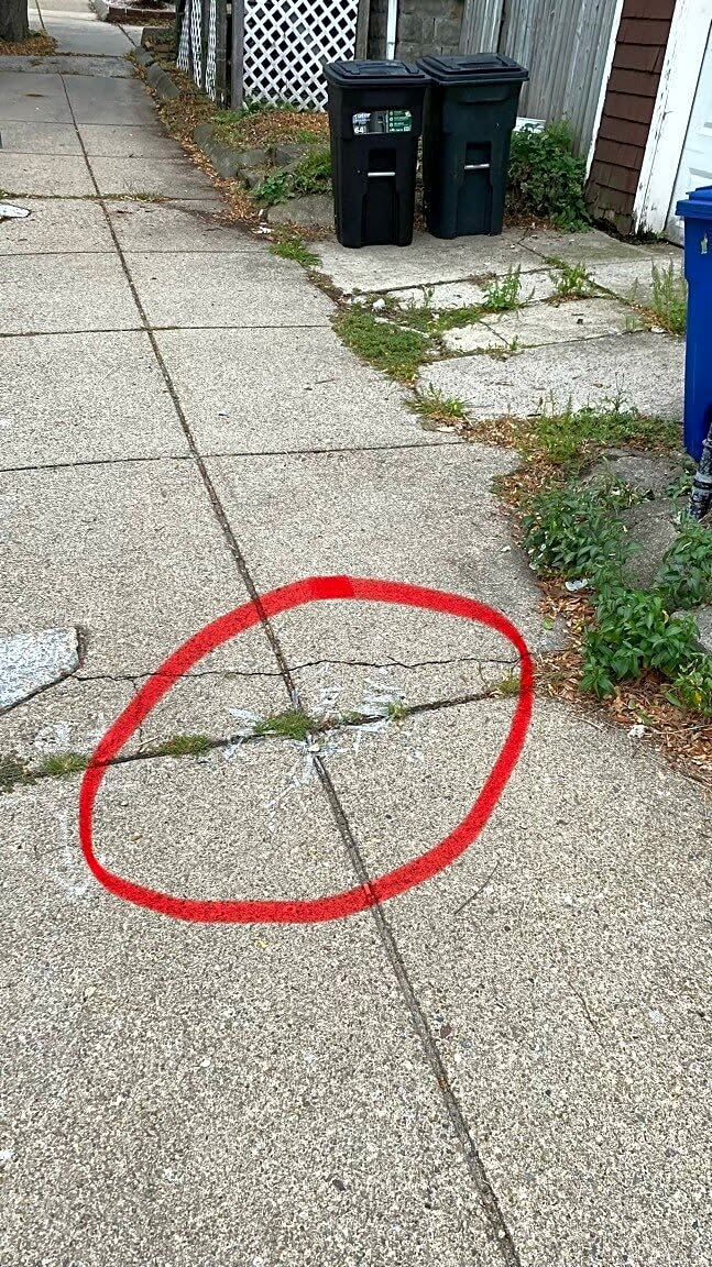 Image submitted with report