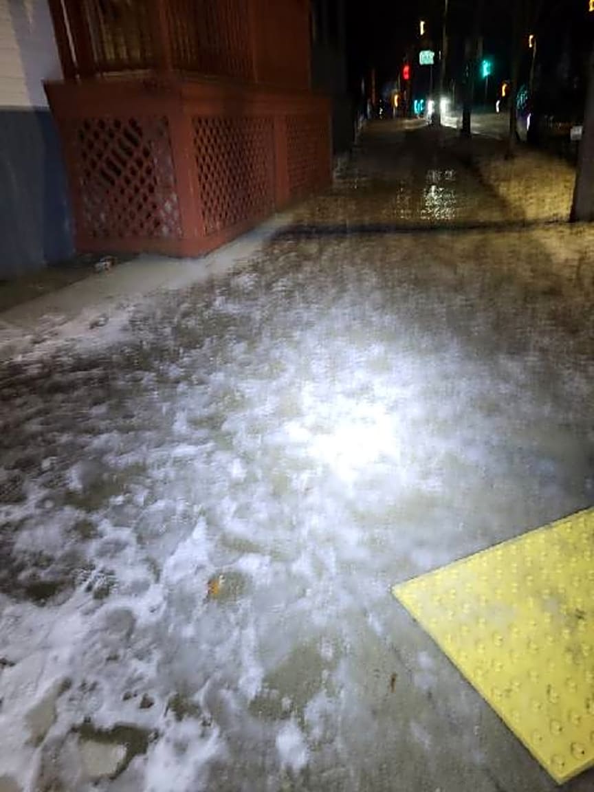 Image submitted with report