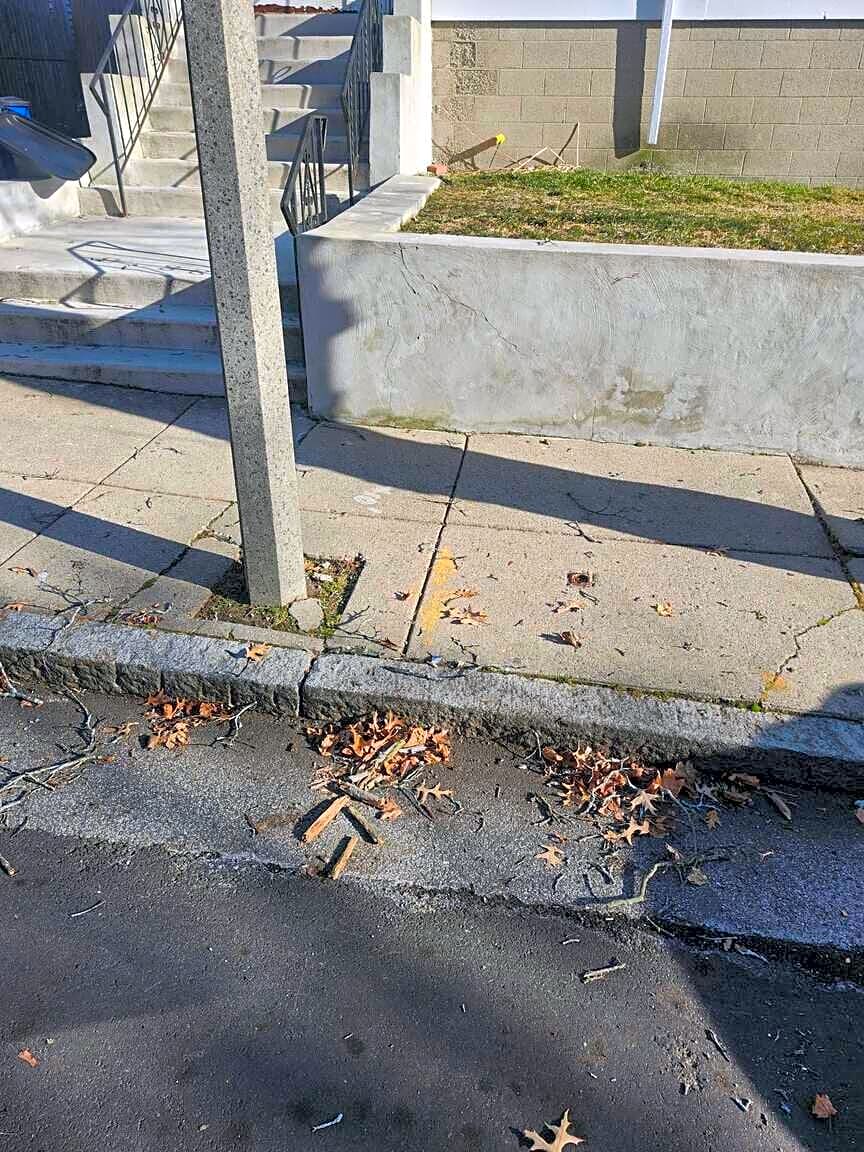 Image submitted with report